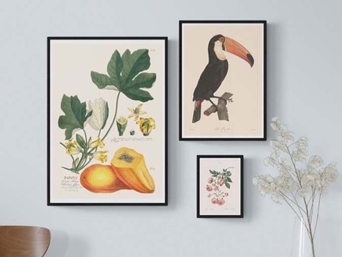 Natural World Art Prints